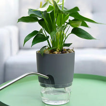 Load image into Gallery viewer, NattyLiving™ -  Self Watering PlantPot
